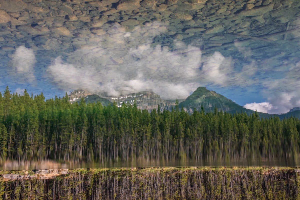 Herbert Lake reversal