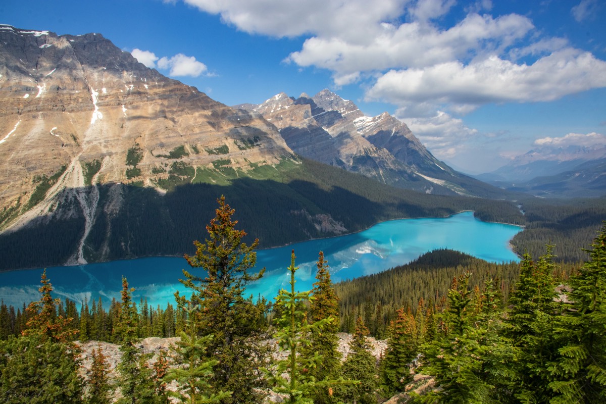 Peyto Lake