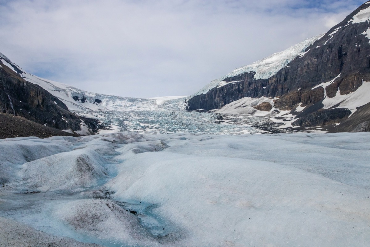 On the Athabasca Glacier