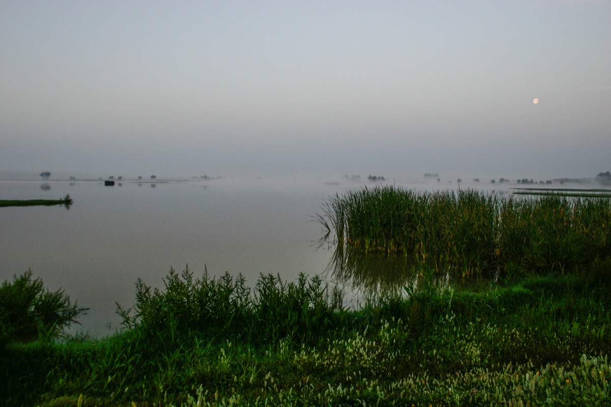 Parque Nacional La Doñana - Sunrise