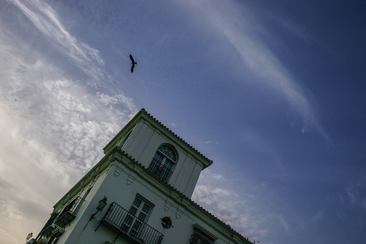 Parque Nacional La Doñana - Kite above El Rocio