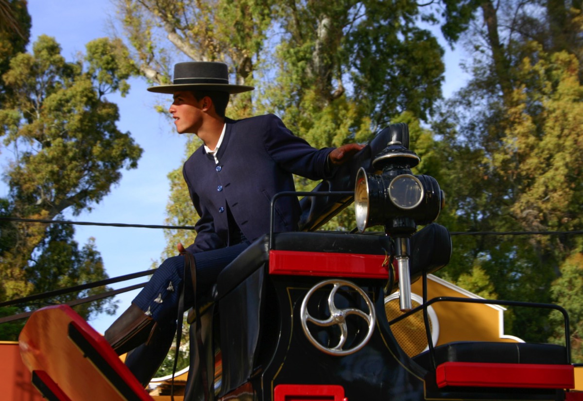 Jerez - Feria del Caballo - Male rider