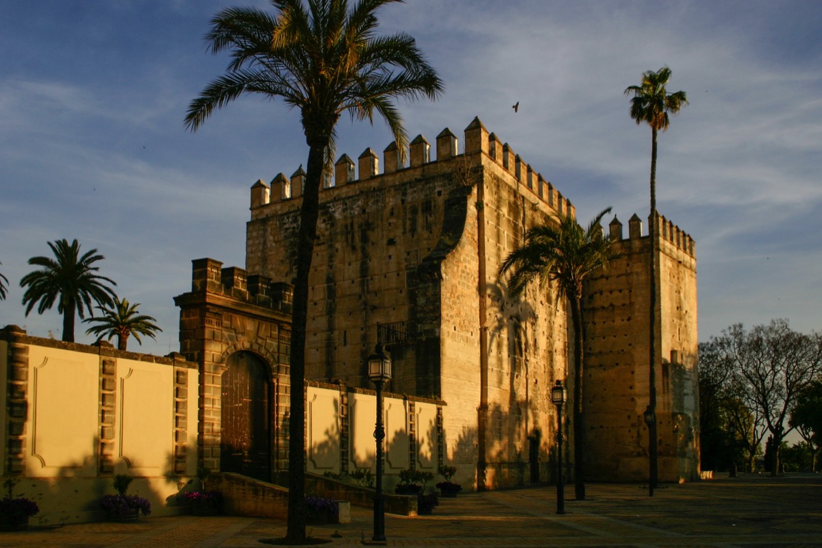 Jerez - Alazar in sunset
