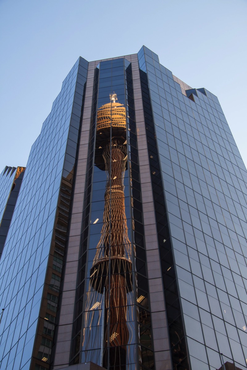 Reflect