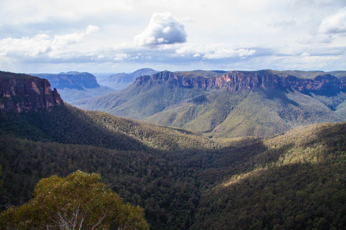 Blue Mountains