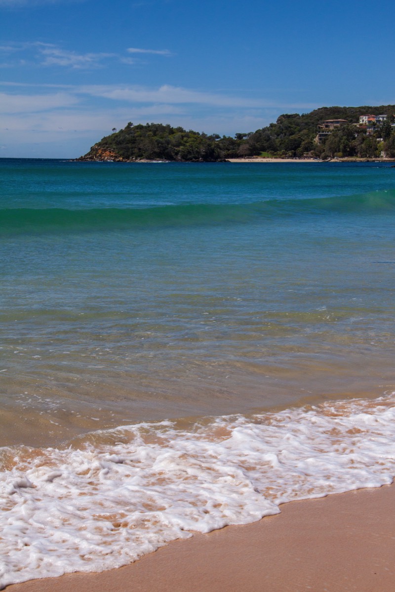 Manly beach