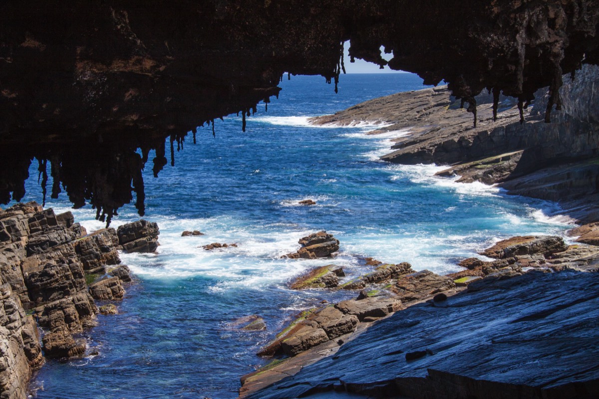 Cave for seals