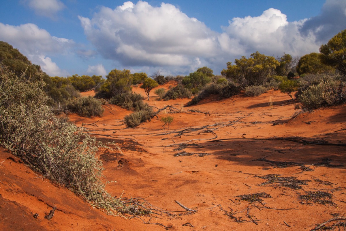 Dunes in red dust