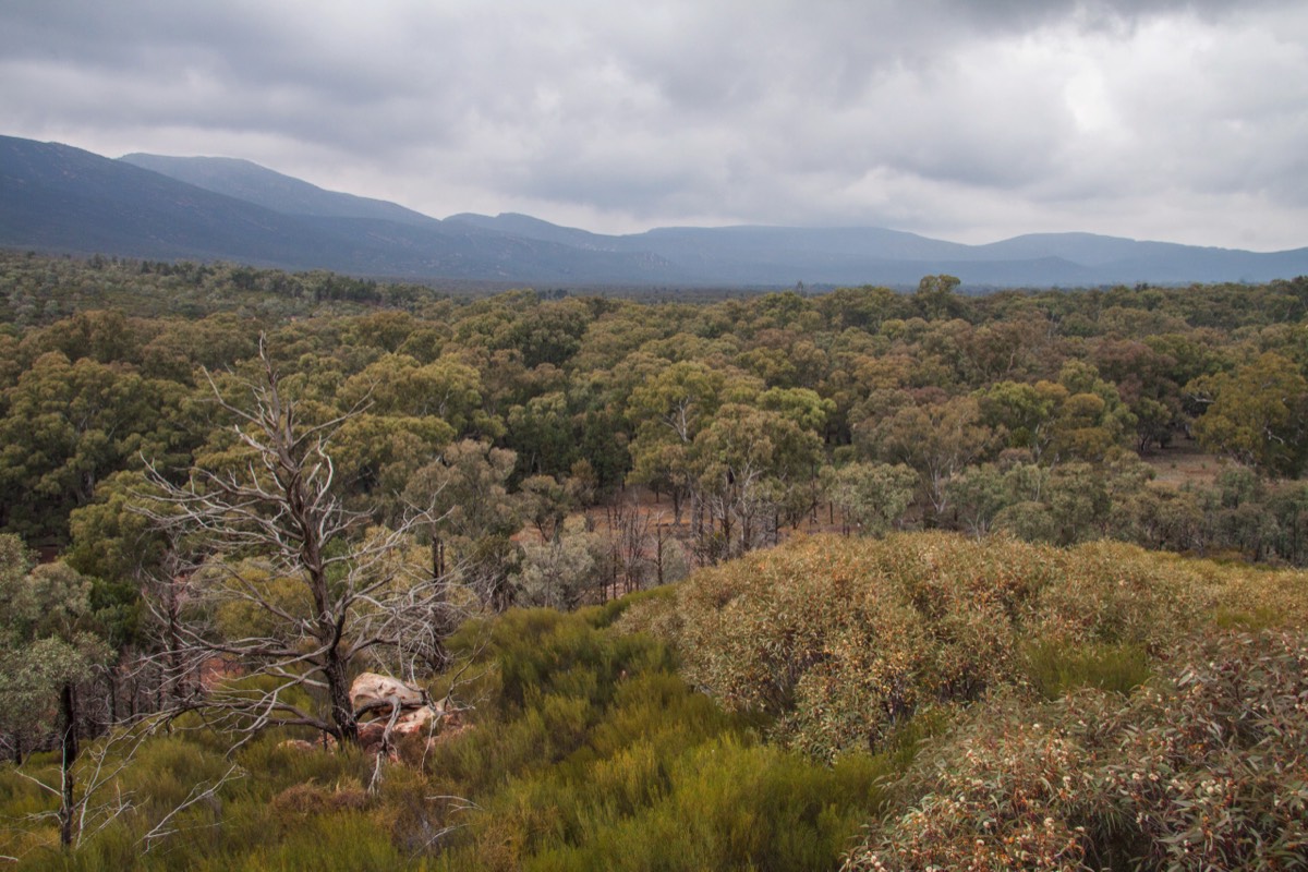 Flinders Ranges