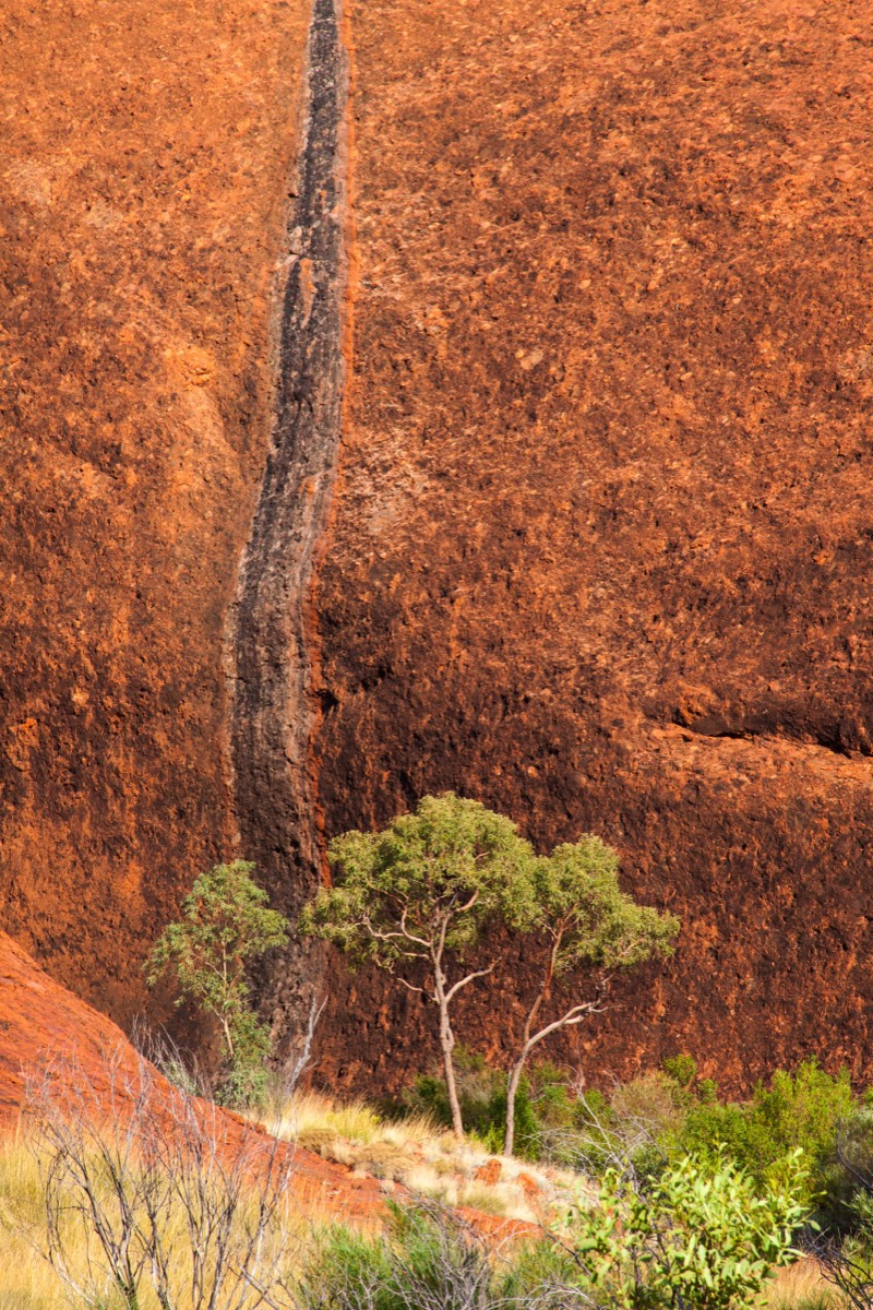 Rocks and trees