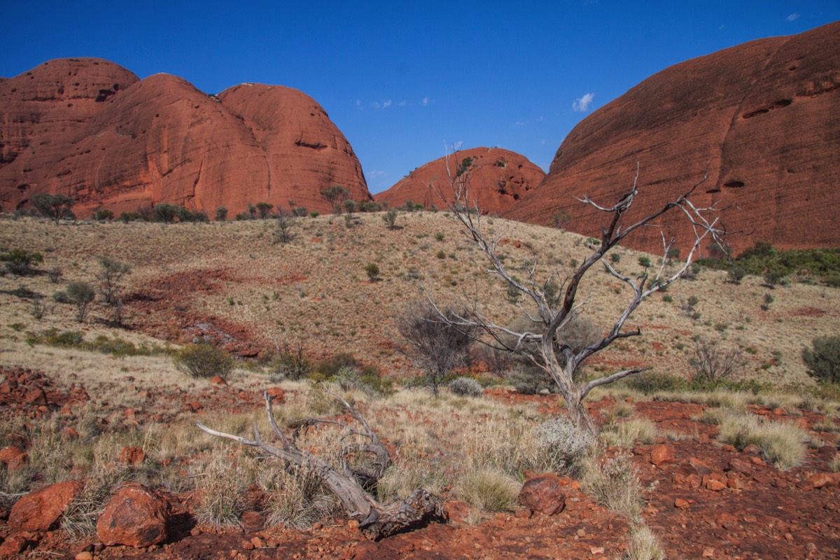 Kata Tjuta - Valley of the Winds Walk