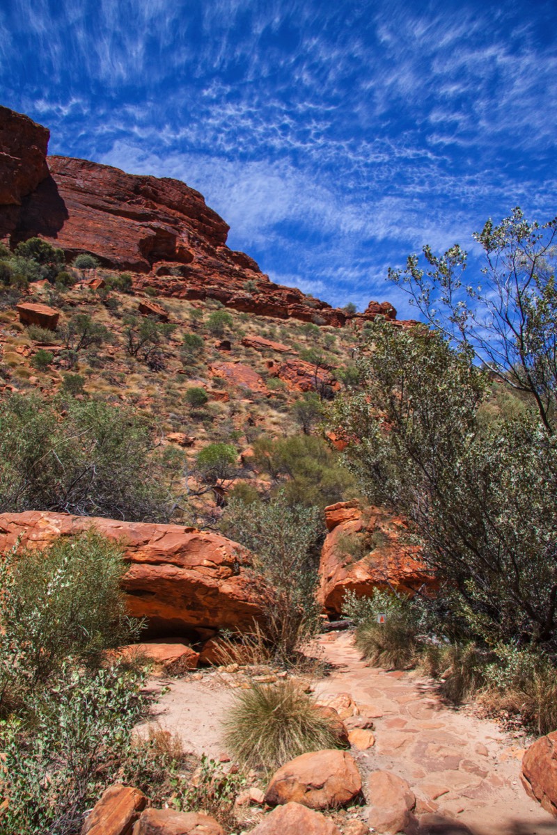Kings Canyon Creek