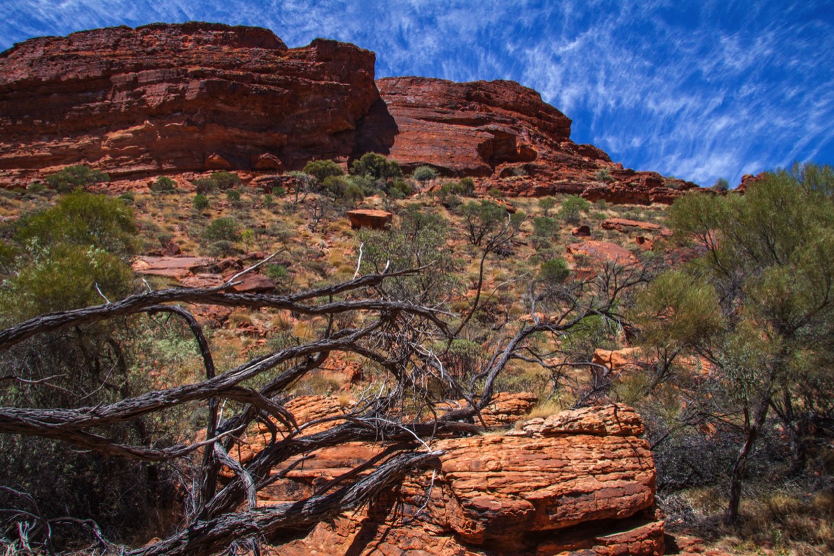 Kings Canyon Creek