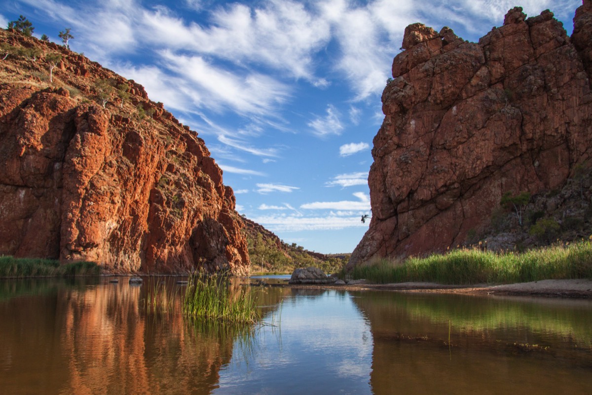 Glen Helen Gorge - swimming is allowed