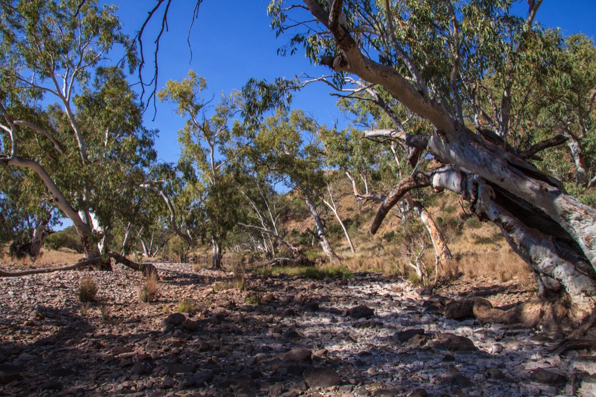 River bed, but the river is long gone