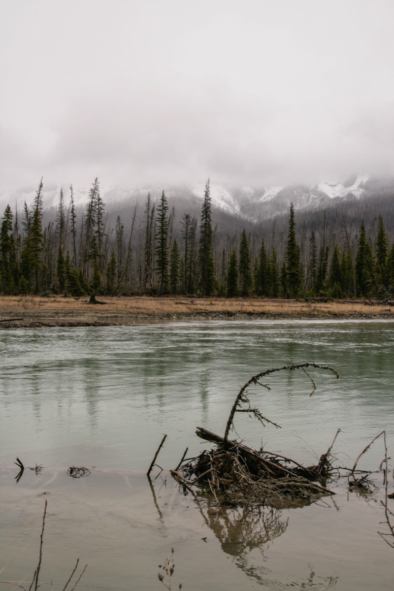 Along the Simpson river trail - Kootenay NP