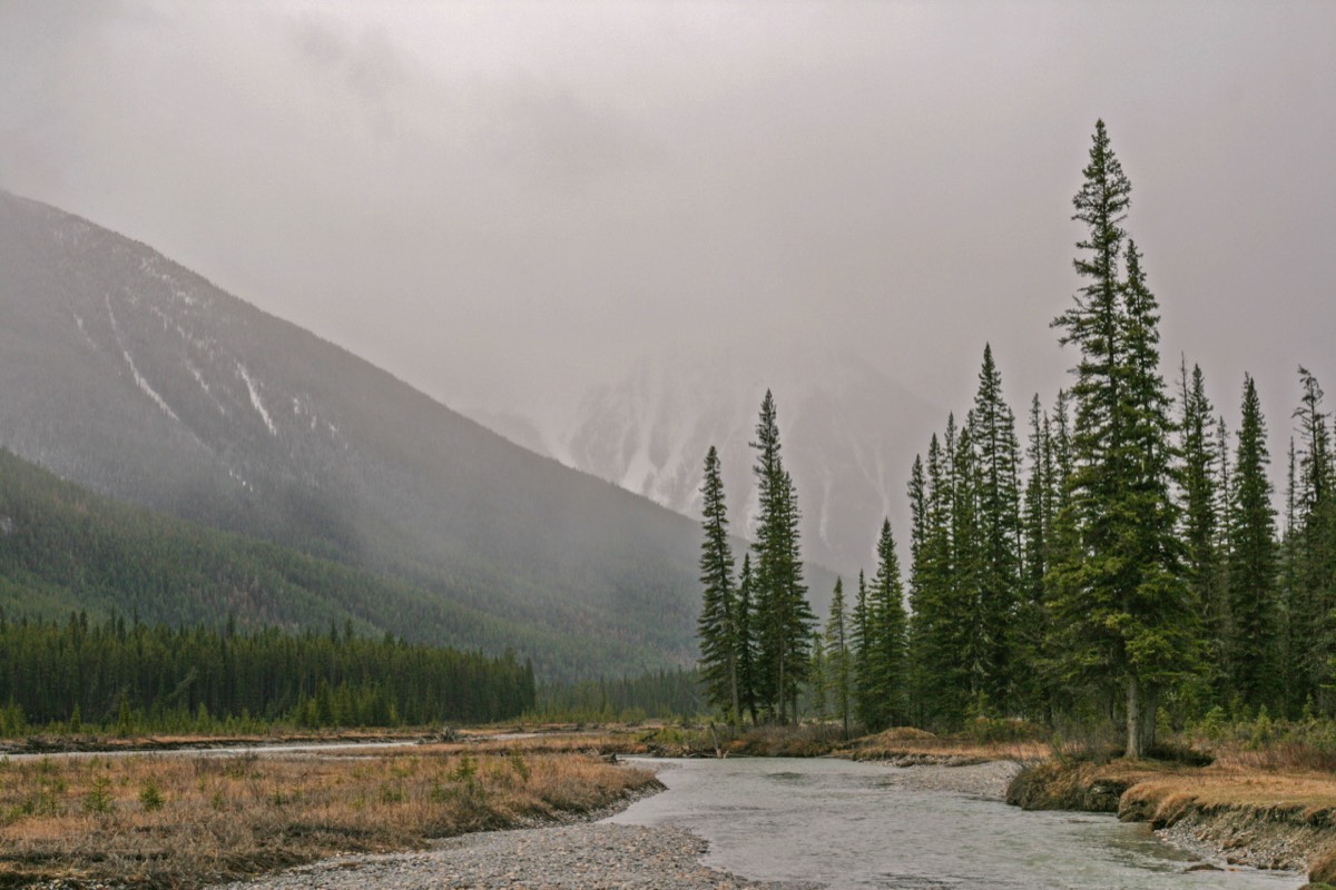 Misty Mountains tower near the river - Kootenay NP