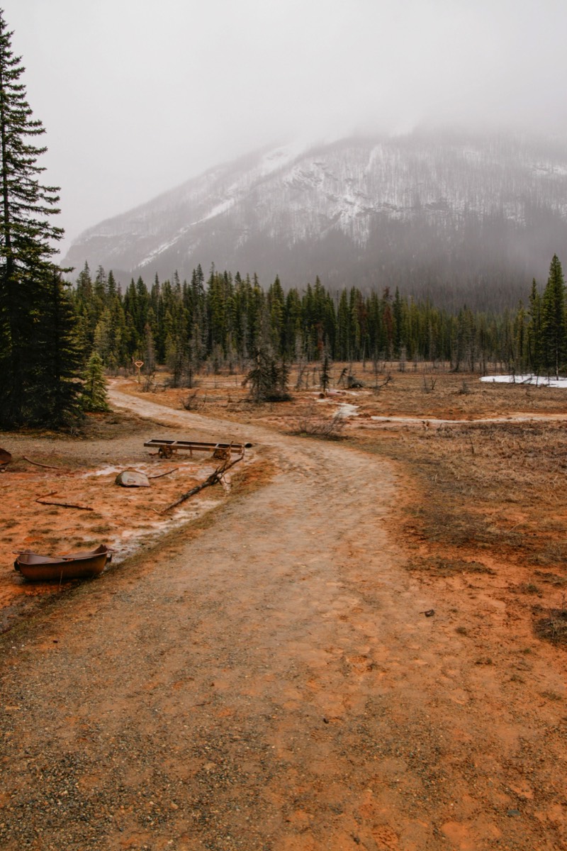 The yellow ocher deposits of the Paint Pots - Kootenay NP