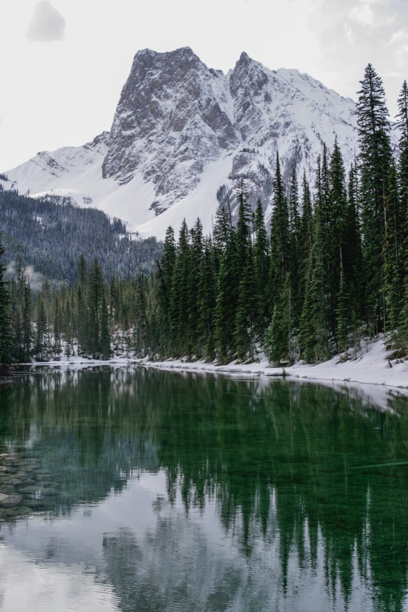 Some parts of the lake mirror a cool green - Yoho NP