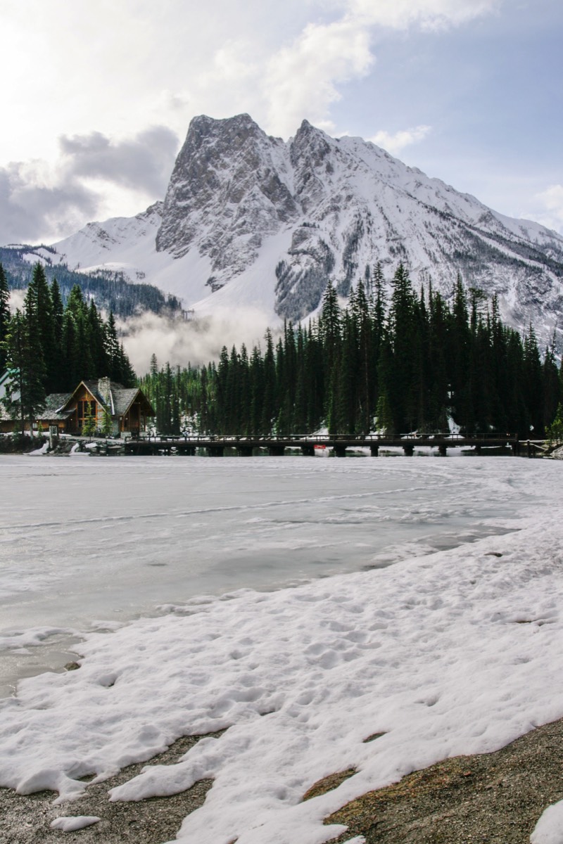 Parts covered in snow as is Mount Burgess - Yoho NP