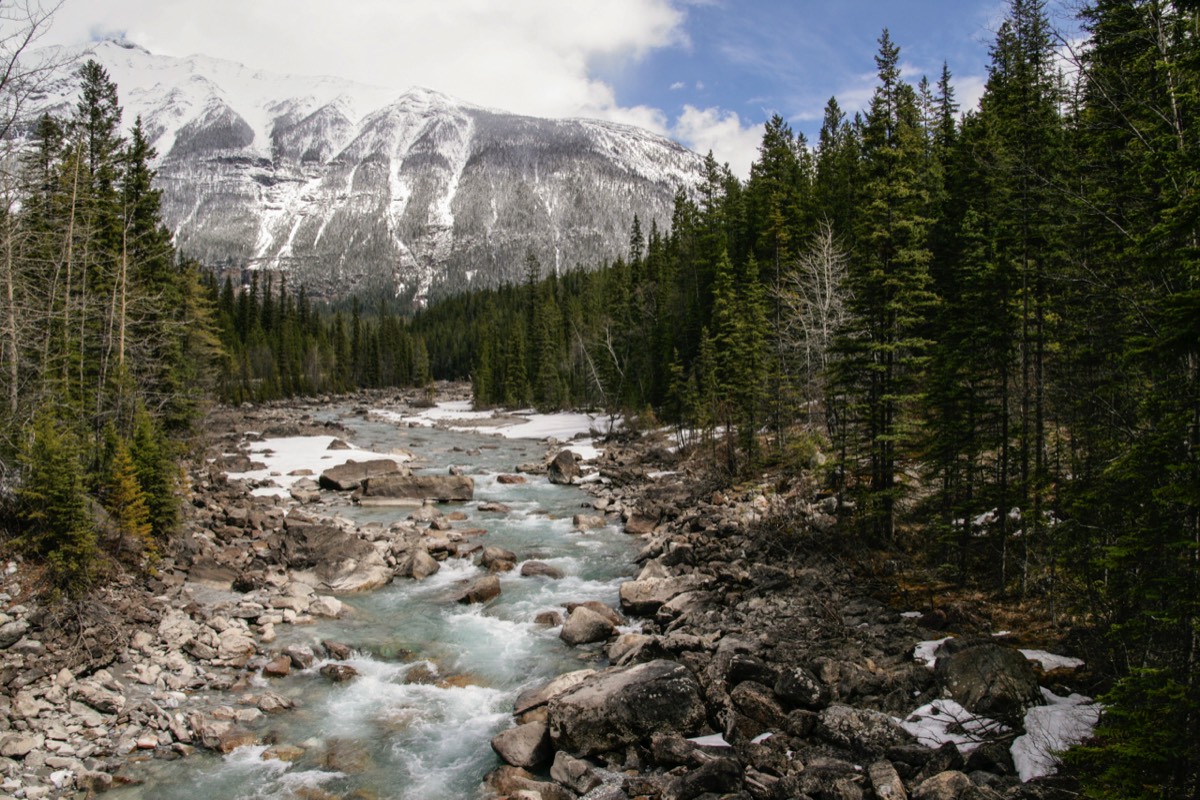 Yoho River