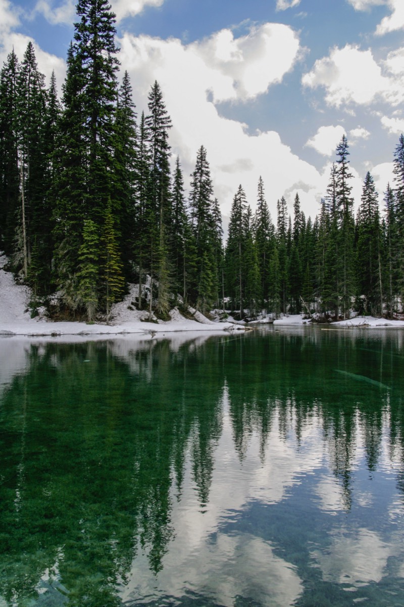 Emerald Lake - Yoho NP
