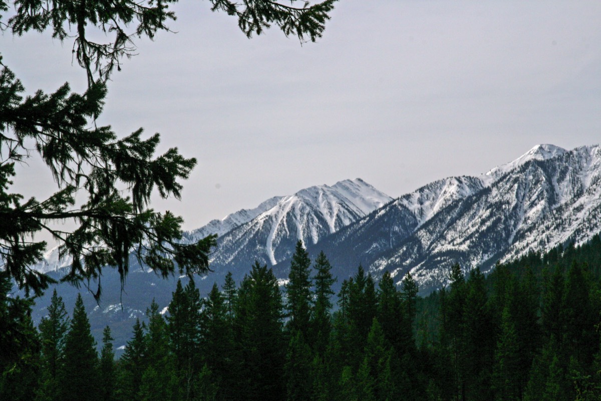 Mountain view at Canyon Creek - Golden