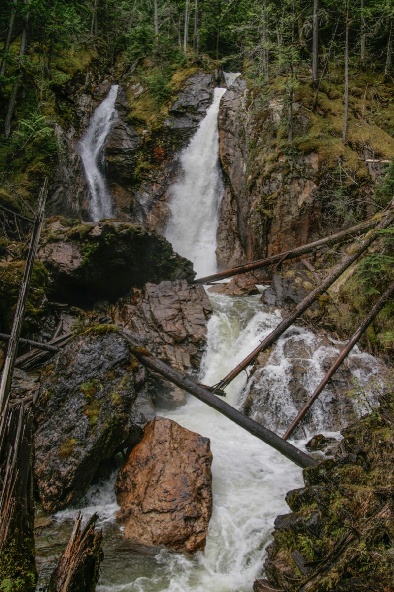 Begbie Falls - Revelstoke