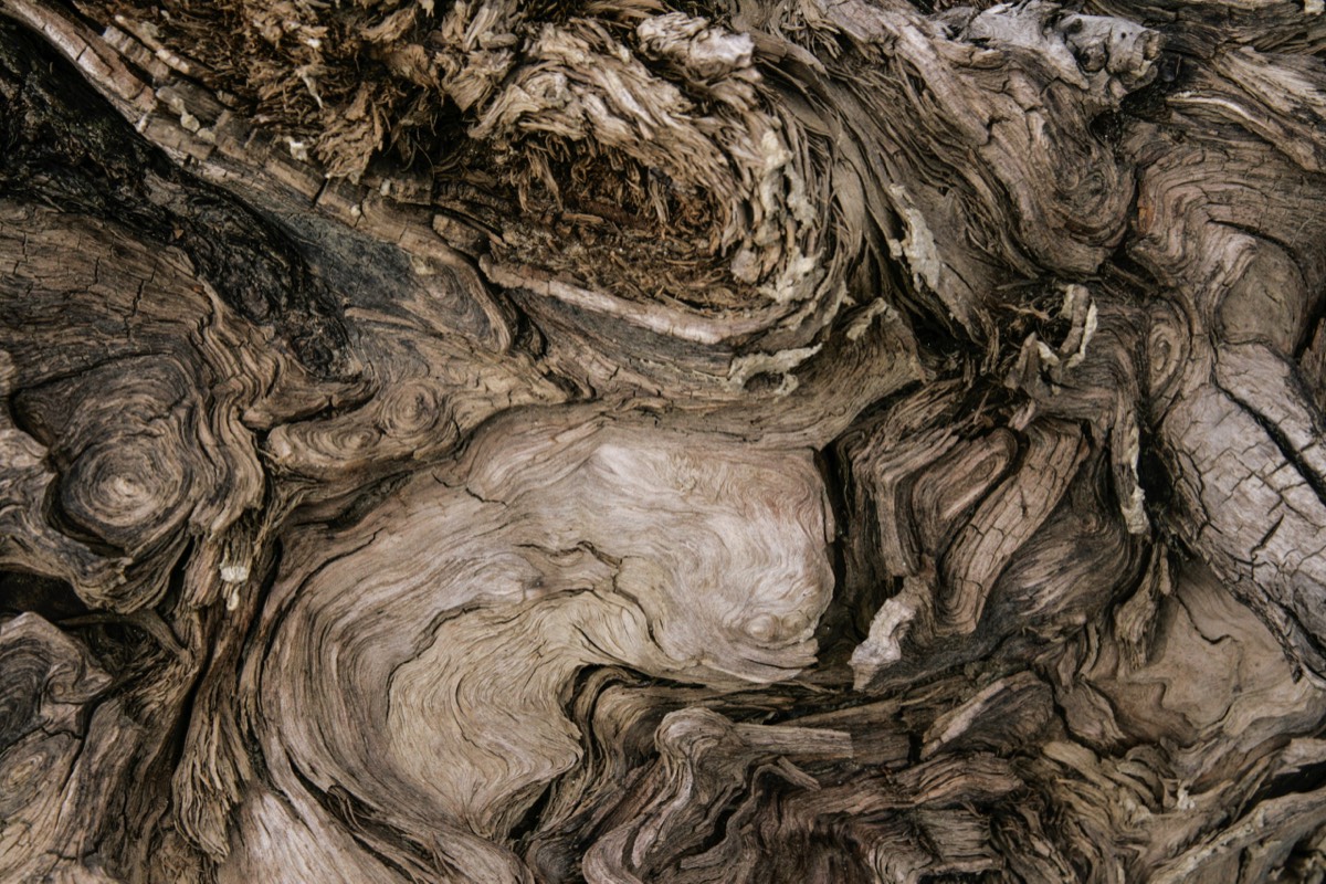 Weathered wood