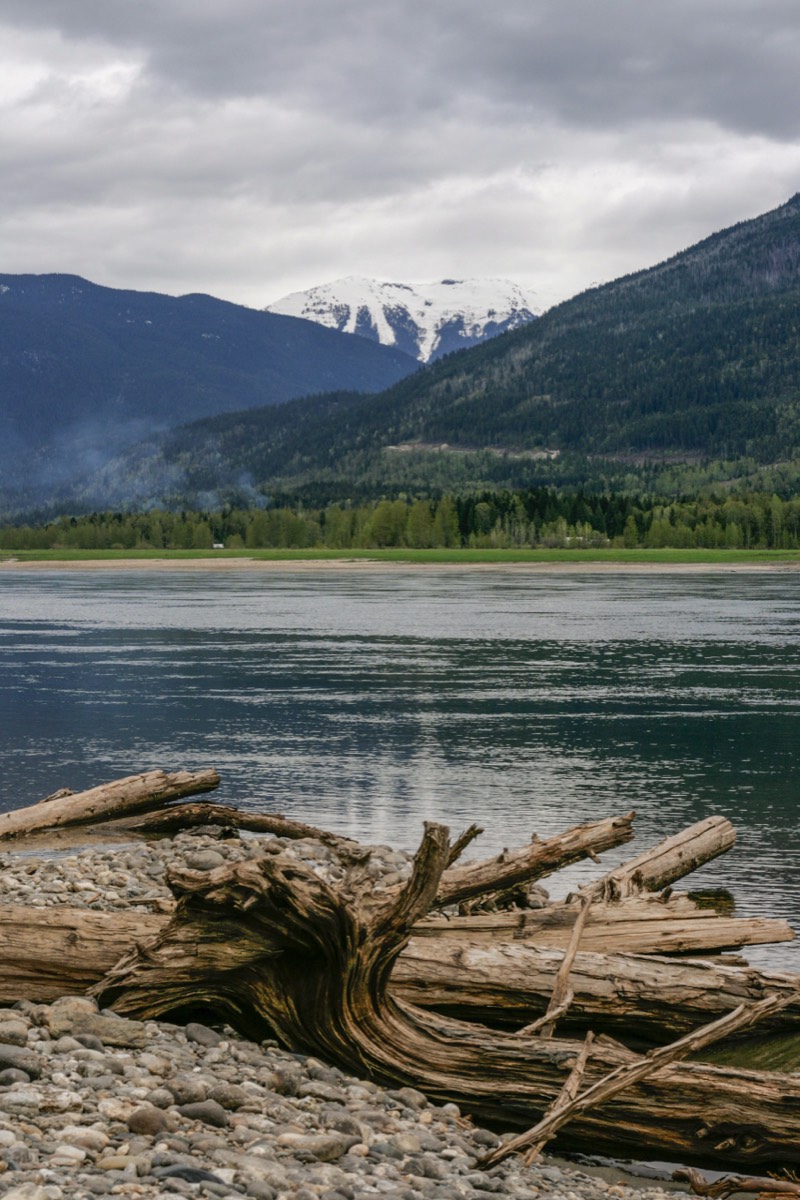 The other bank...looks greener - Revelstoke