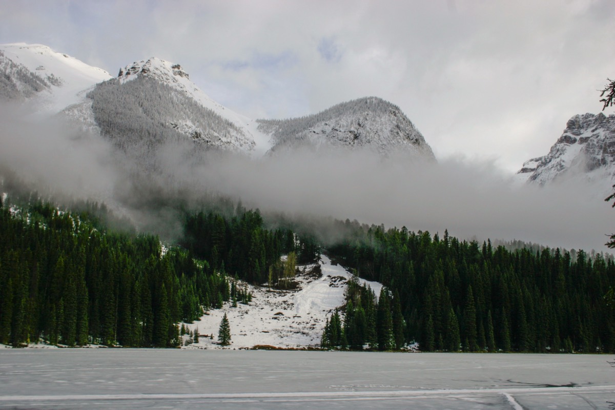 The shore of Emerald Lake - Yoho NP