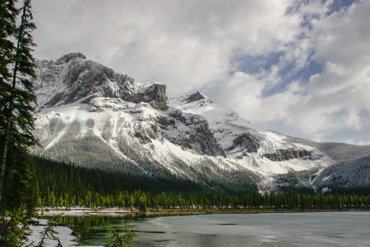 Covered in snow and pines - Yoho NP