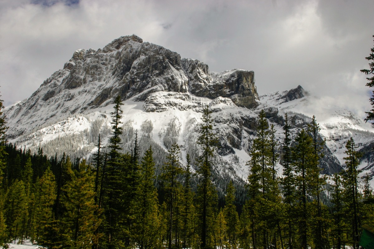 A teensy bit of sunlight on the cold majestic rocks - Yoho NP