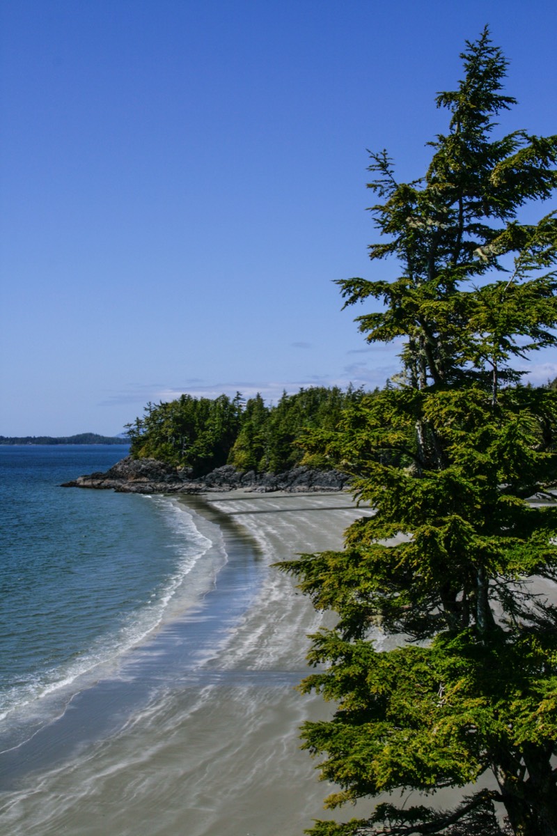 Tofino - Beach view - Vancouver Island