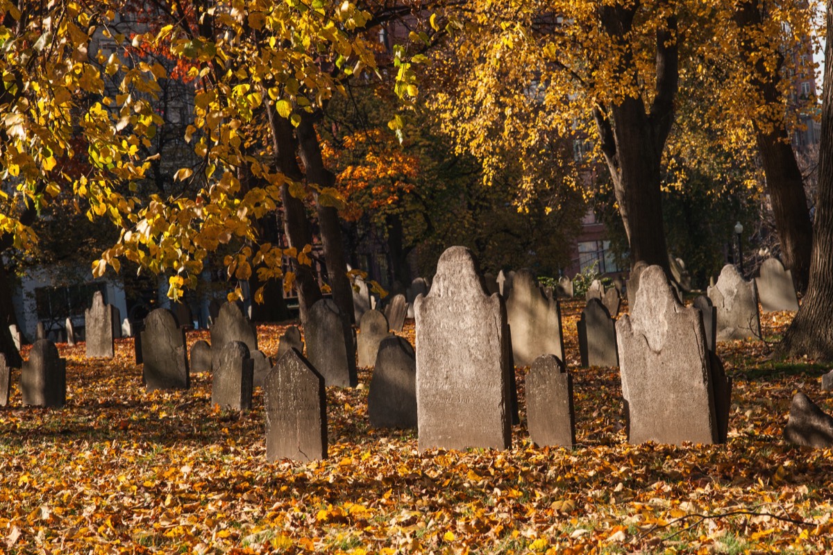 Tombstones in afternoon sun