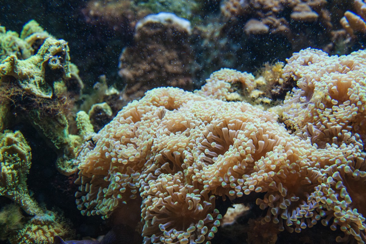 Boston aquarium; where are all the fish?