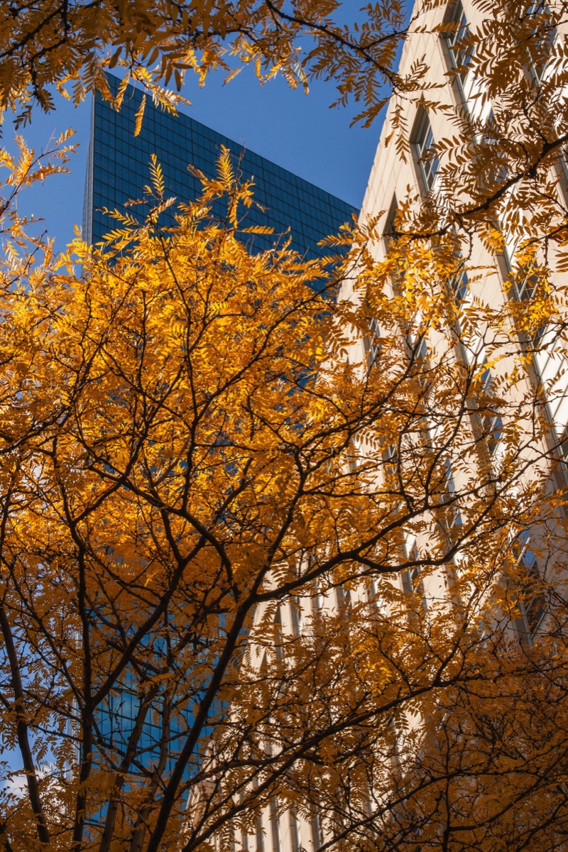 Autumn in the city
