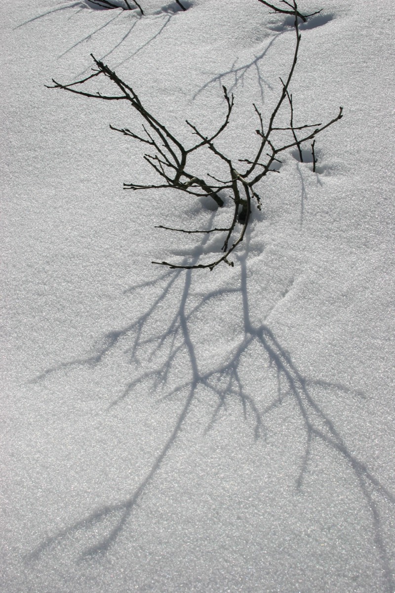 Wintry sun shadow