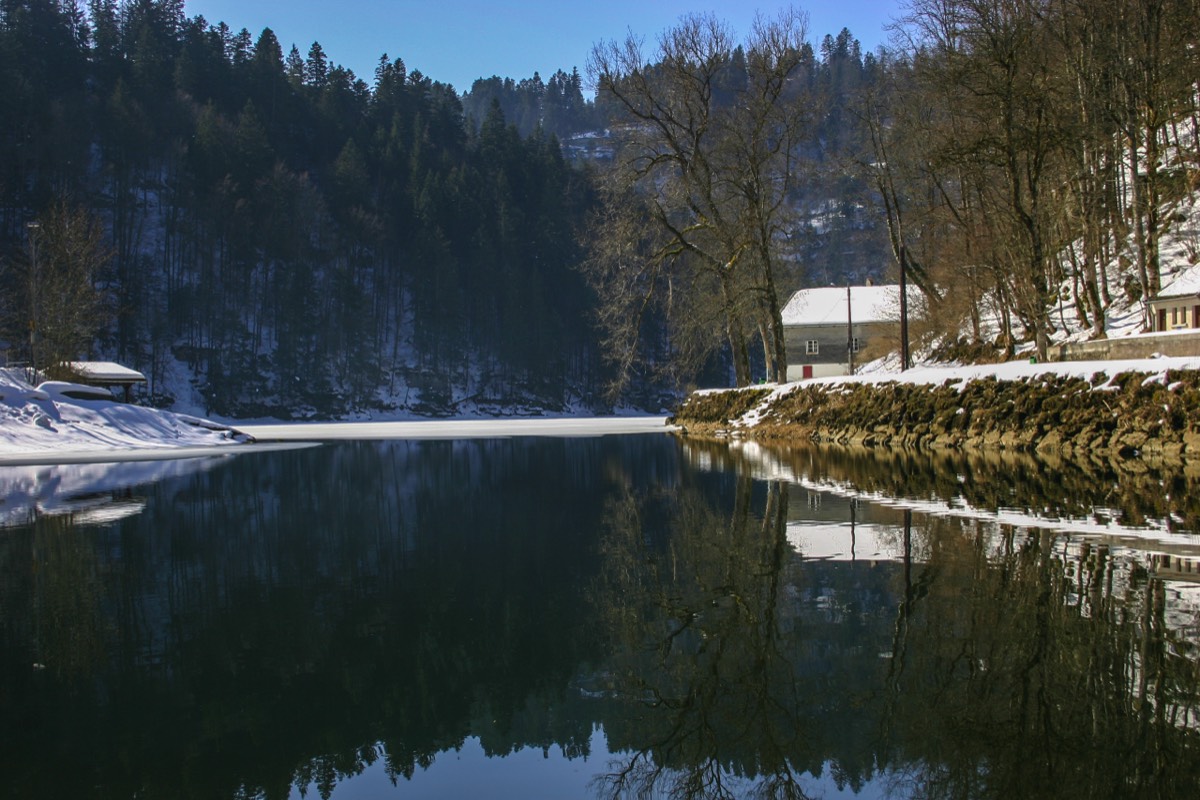 Cold morning reflection