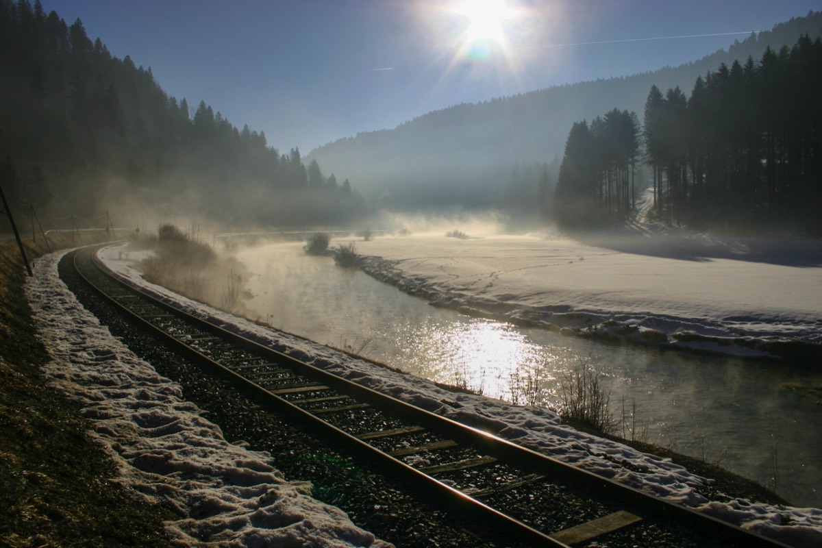 Early morning mist