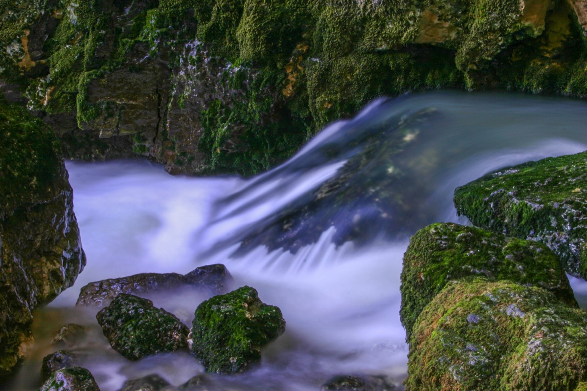 Mossy stones