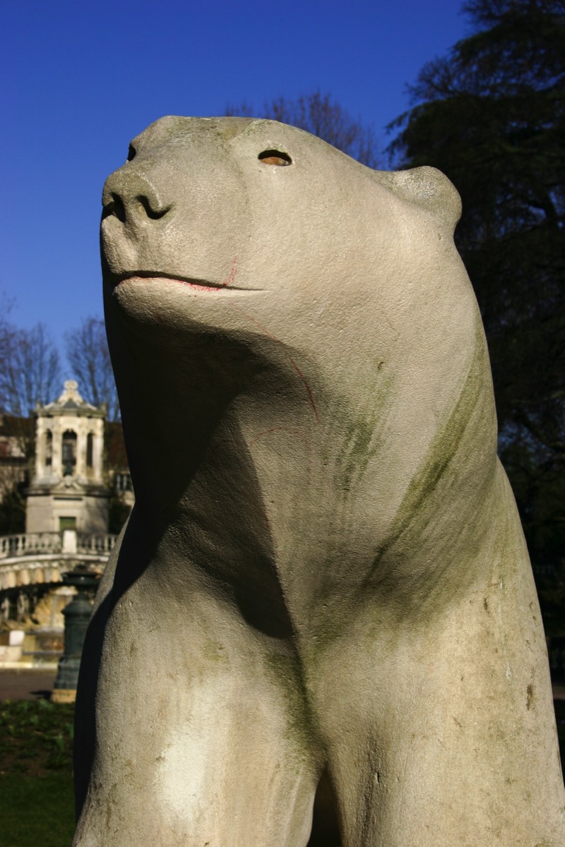 Pompon's polar bear