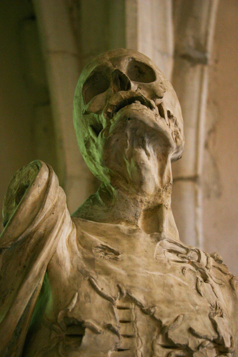 Study in morbidity or mortality