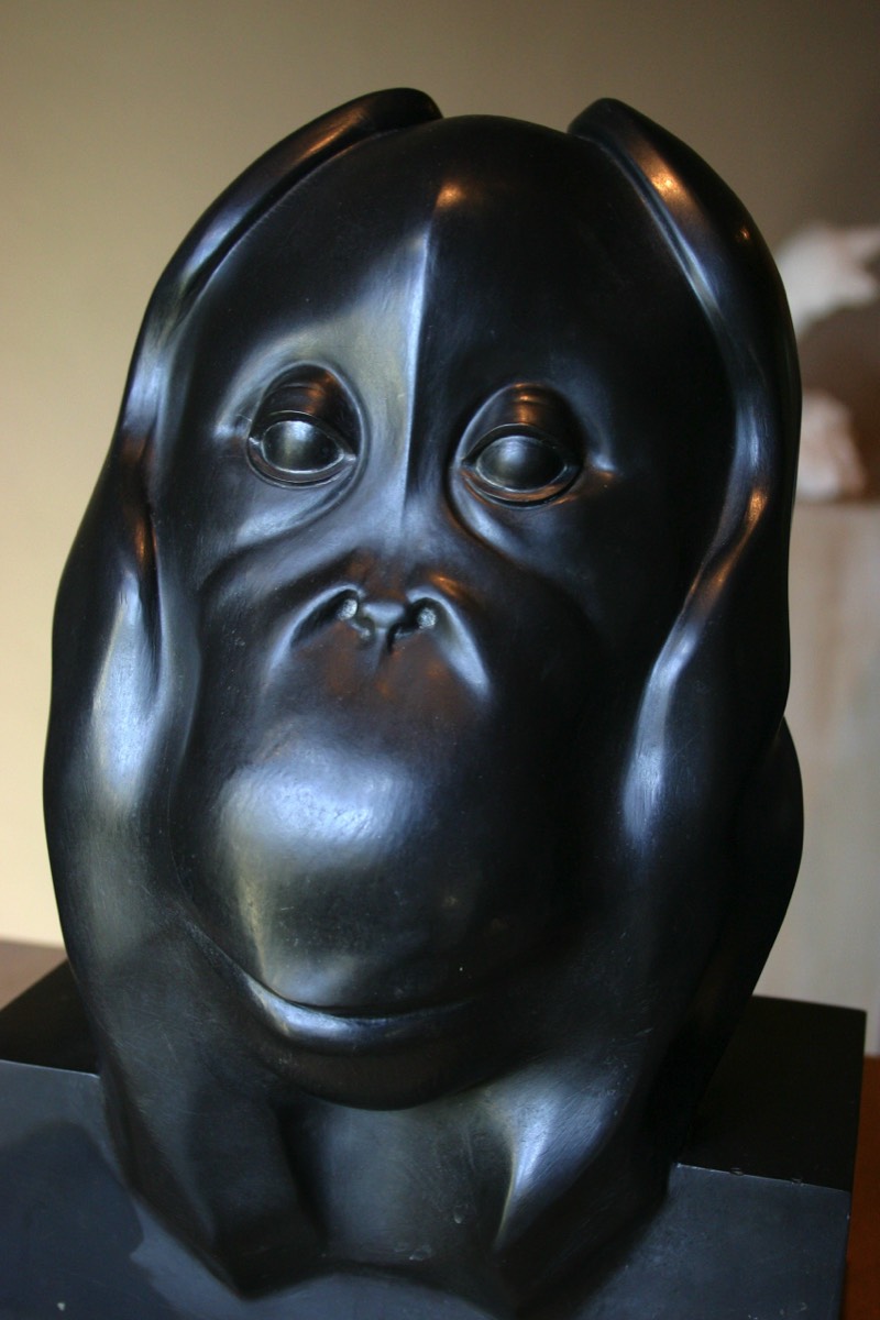 Pompon's uran-utan