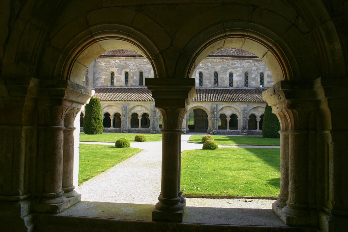 Early spring in the courtyard