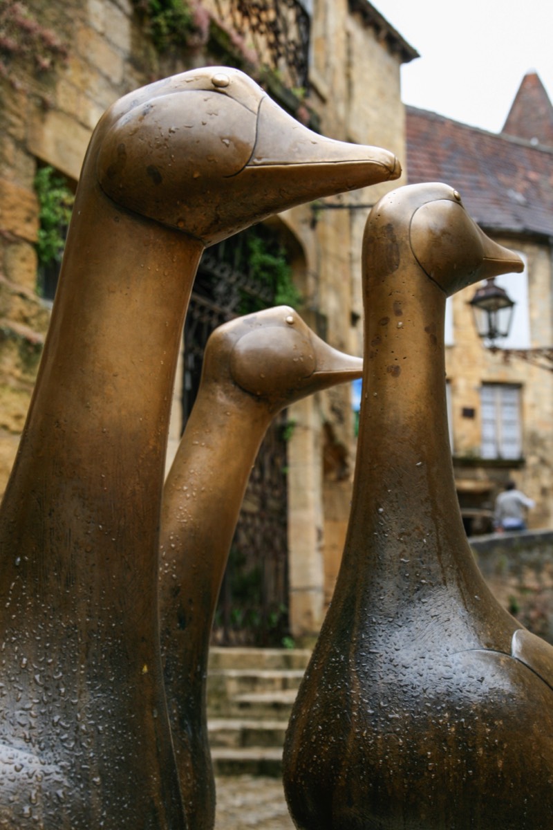 Bronze geese