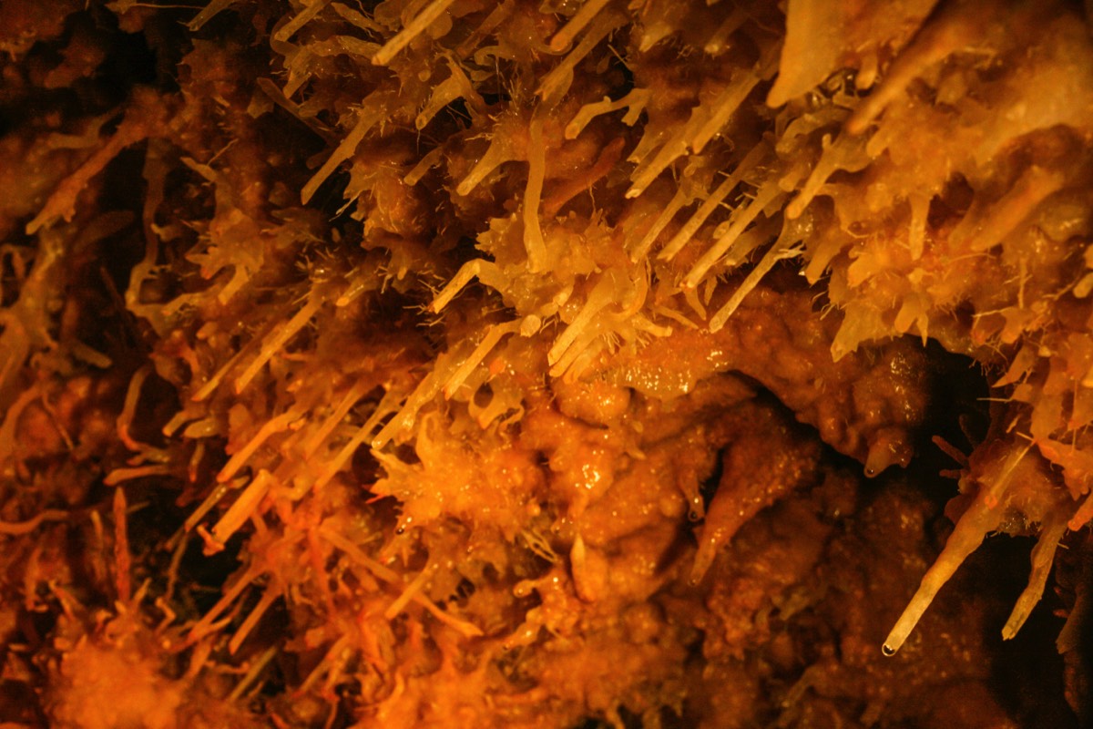 Grotte du Grand Roc