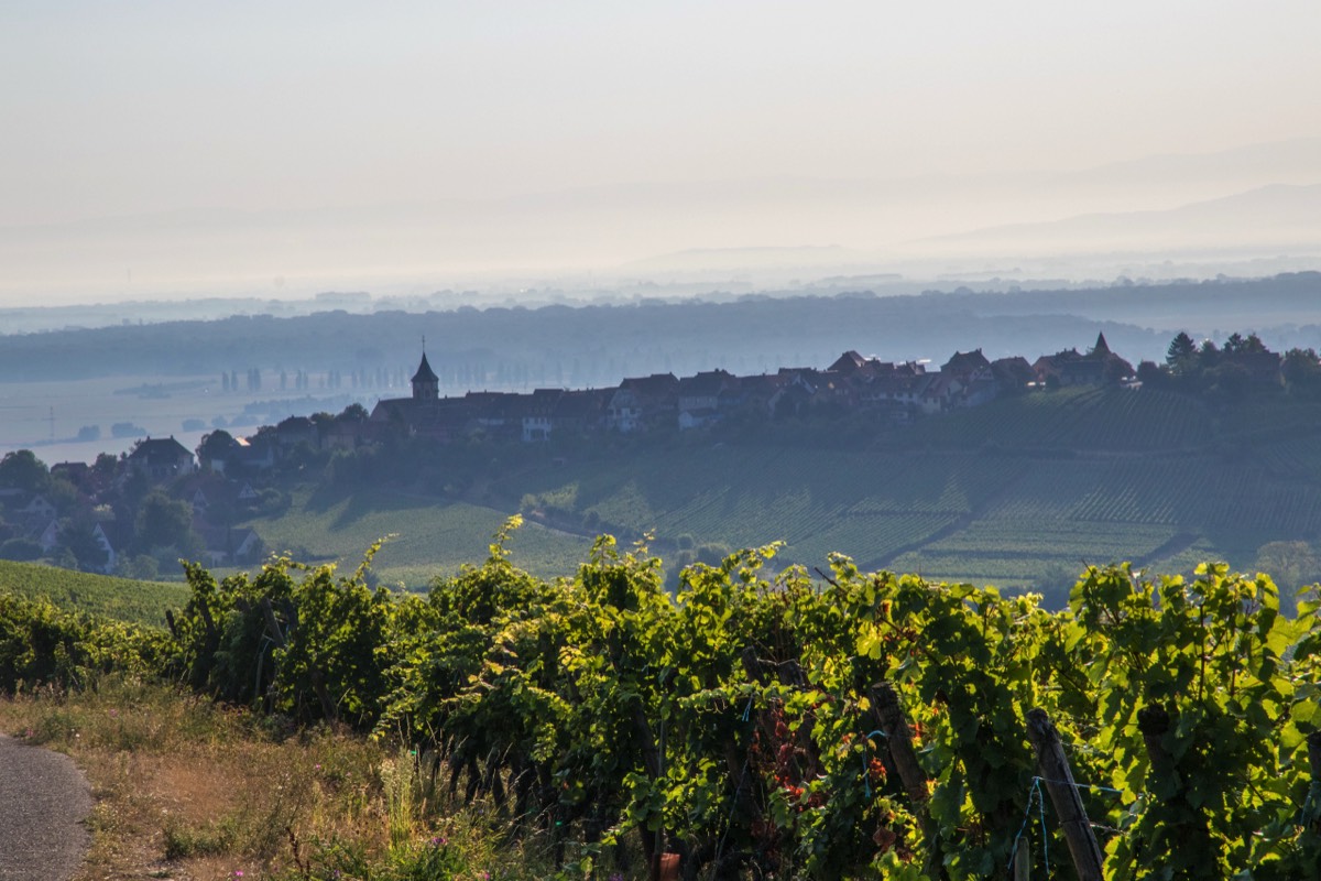 View on Zellenberg