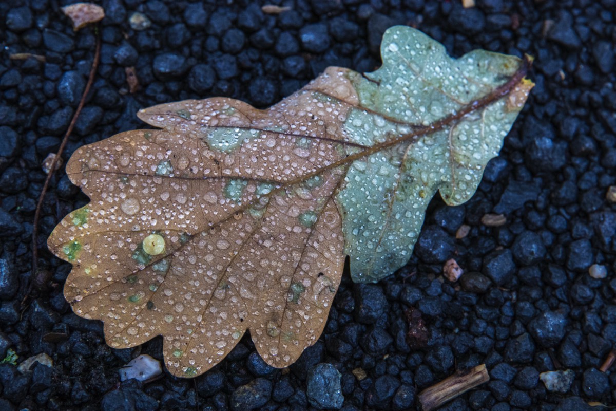 Autumn is here