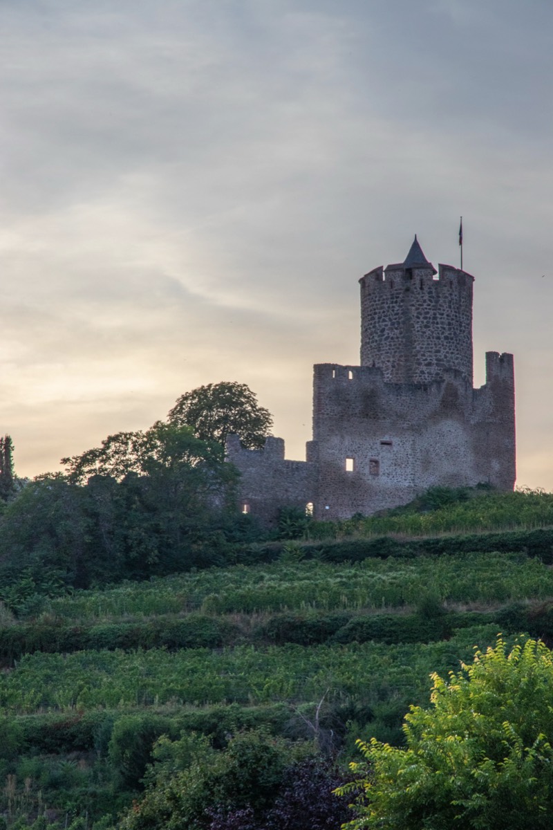 Castle (ruin) at Kaysersberg